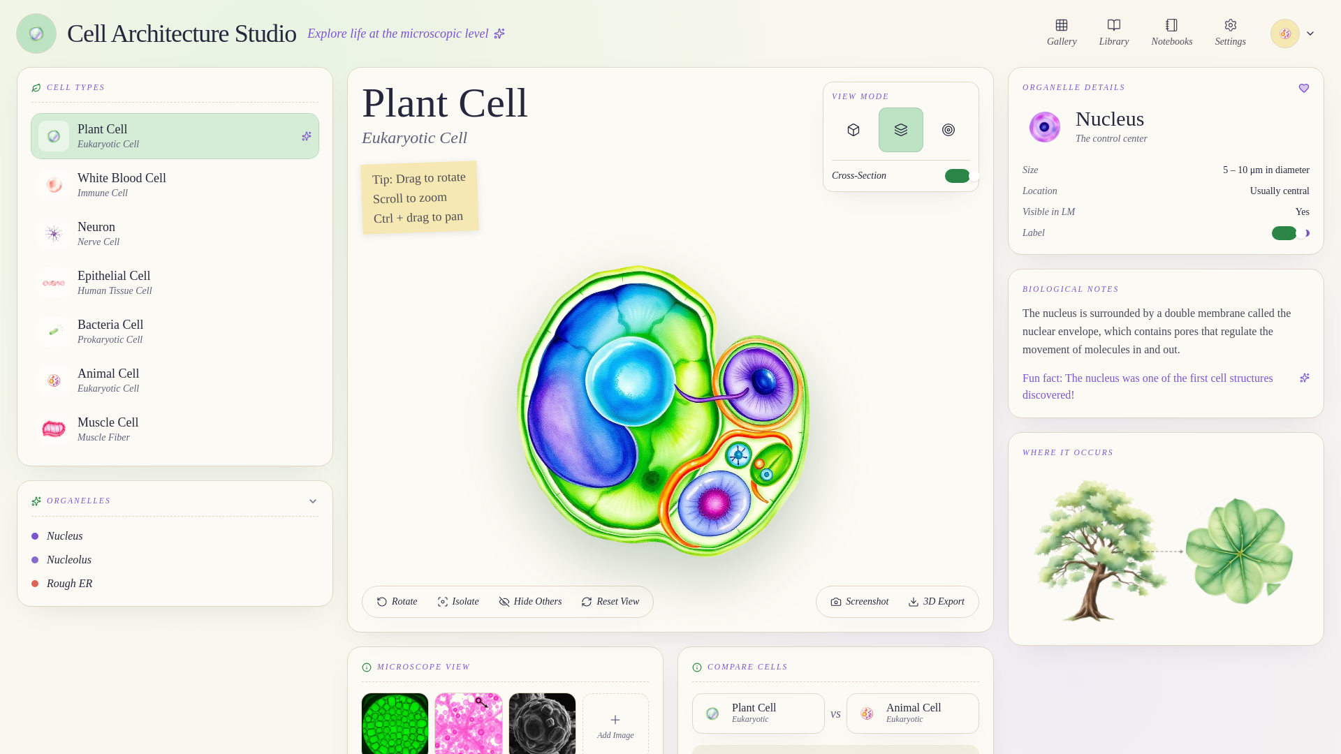 Screenshot of Cell Studio — Image-to-3D Organelles
